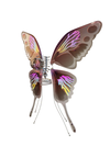 Jüü Jüü: Skeleton Butterfly Wings