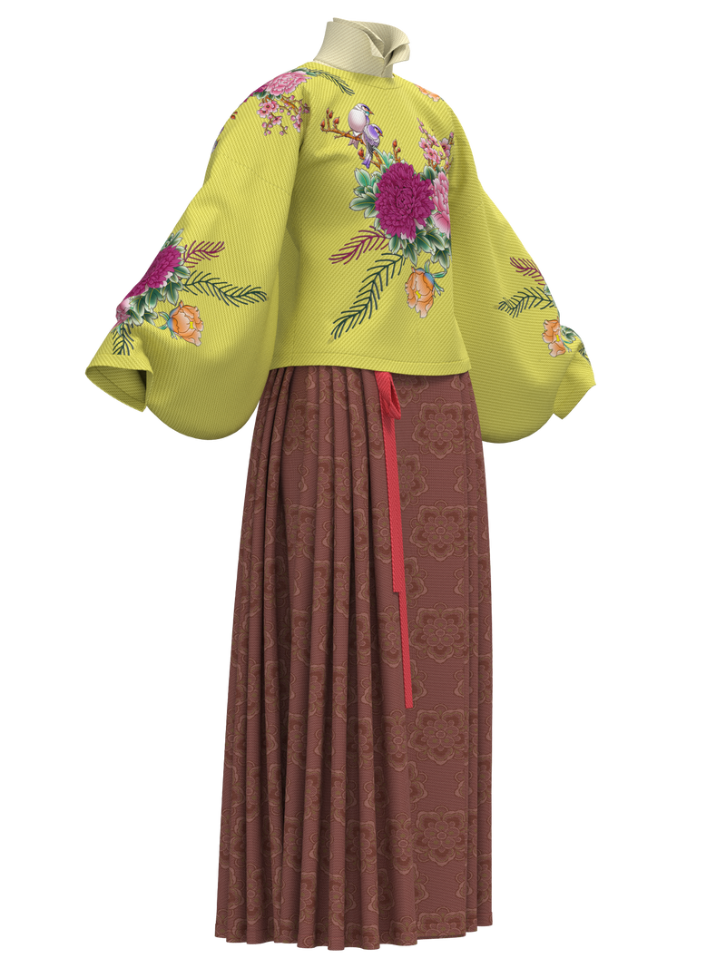 Aoqun with stand-up collar in Ming Dynasty