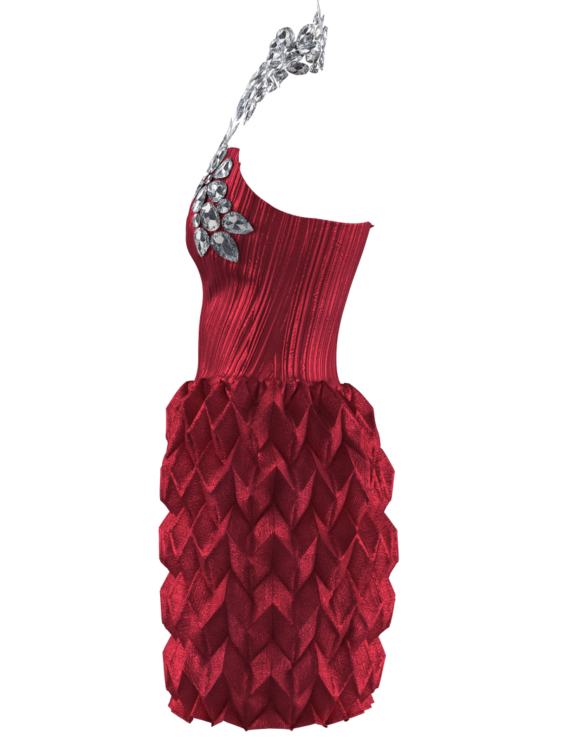 Stellar Crimson Red Dress