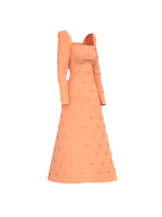 Salmon Dress, Alena Akhmadullina