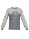 Sweatshirt Grey Iceberg